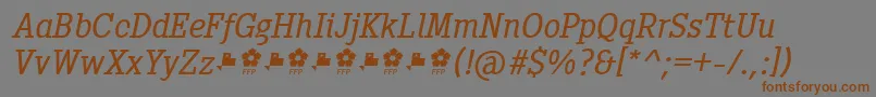 Pentay Book Italic ffp-fontti – ruskeat fontit harmaalla taustalla