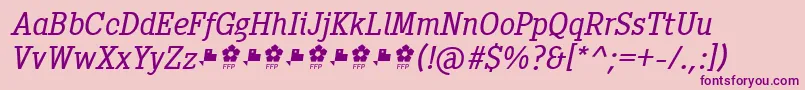 Pentay Book Italic ffp Font – Purple Fonts on Pink Background