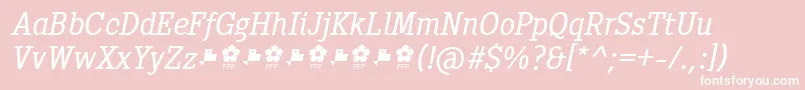 Pentay Book Italic ffp-Schriftart – Weiße Schriften auf rosa Hintergrund