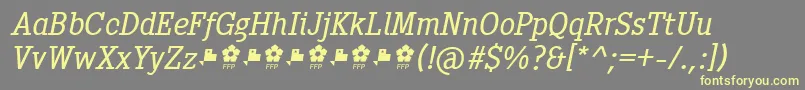 Pentay Book Italic ffp Font – Yellow Fonts on Gray Background
