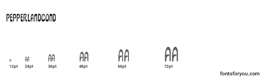 Pepperlandcond Font Sizes