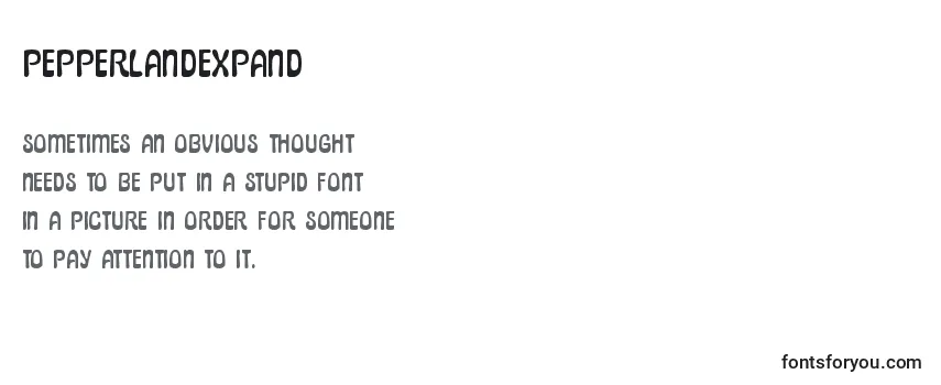 Review of the Pepperlandexpand Font
