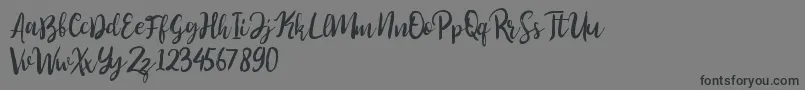 fuente Perfect Sweet – Fuentes Negras Sobre Fondo Gris