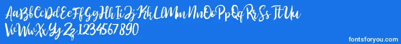 fuente Perfect Sweet – Fuentes Blancas Sobre Fondo Azul