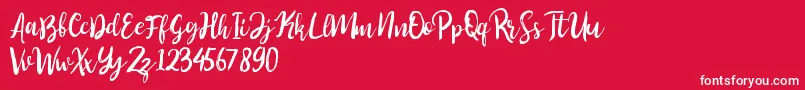 fuente Perfect Sweet – Fuentes Blancas Sobre Fondo Rojo
