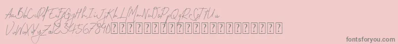 Permata Font – Gray Fonts on Pink Background