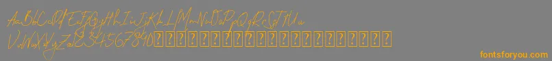 フォントPermata – オレンジの文字は灰色の背景にあります。