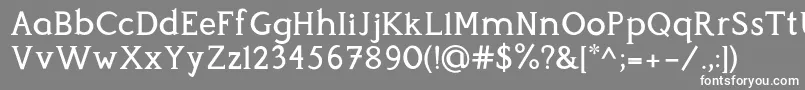 フォントPerspicacious Medium – 灰色の背景に白い文字