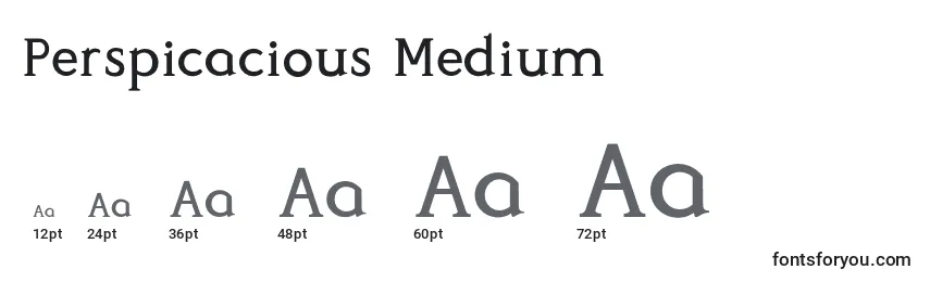 Размеры шрифта Perspicacious Medium