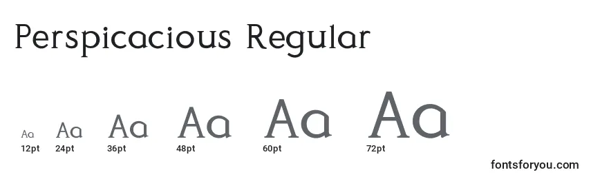 Размеры шрифта Perspicacious Regular