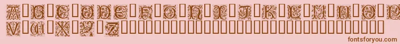 PETIFL   Font – Brown Fonts on Pink Background