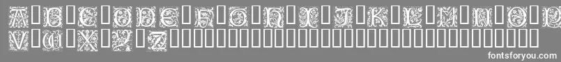 PETIFL  -Schriftart – Weiße Schriften auf grauem Hintergrund