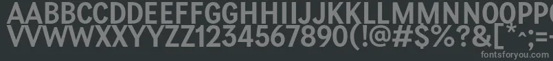 PetiteFrance Regular Font – Gray Fonts on Black Background