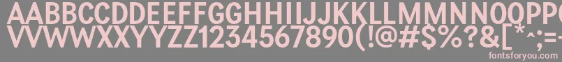 PetiteFrance Regular Font – Pink Fonts on Gray Background