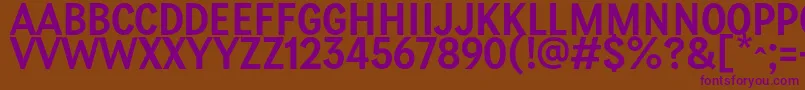 PetiteFrance Regular Font – Purple Fonts on Brown Background