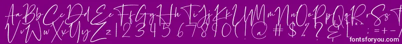 Petri Plate Font – White Fonts on Purple Background