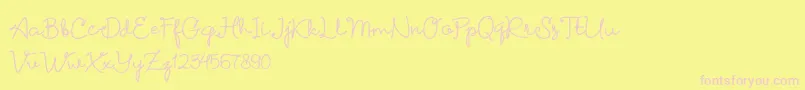 Petunia DEMO Font – Pink Fonts on Yellow Background
