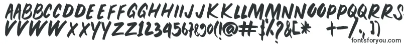 PEUNA BRUSH Font – Fonts for Adobe Indesign