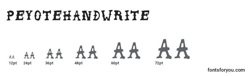 PeyoteHandwrite Font Sizes
