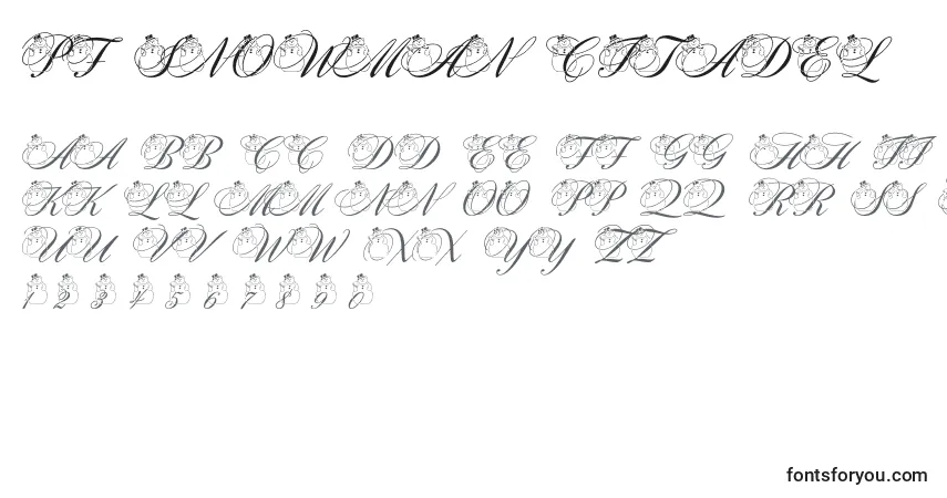 Pf snowman citadel Font – alphabet, numbers, special characters