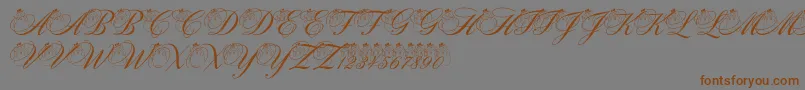 pf snowman citadel-Schriftart – Braune Schriften auf grauem Hintergrund