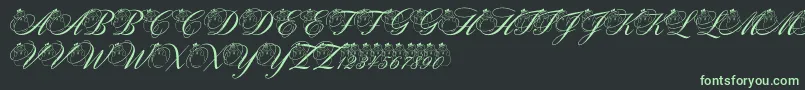 pf snowman citadel Font – Green Fonts on Black Background