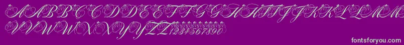 pf snowman citadel Font – Green Fonts on Purple Background