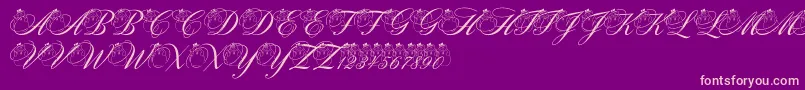 pf snowman citadel Font – Pink Fonts on Purple Background