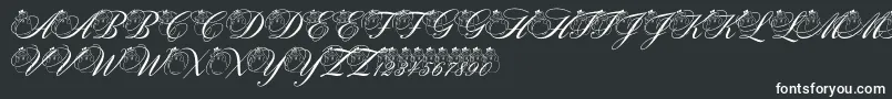 pf snowman citadel Font – White Fonts