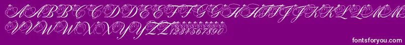 pf snowman citadel Font – White Fonts on Purple Background