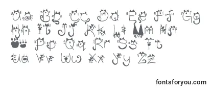 Review of the KittyFace Font