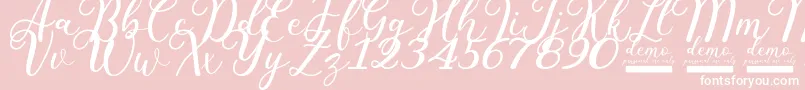 Pharosi   Demo Personal Use Only Font – White Fonts on Pink Background