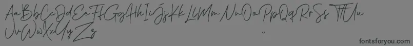 フォントPhillips Muler Signature – 黒い文字の灰色の背景