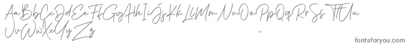 Czcionka Phillips Muler Signature – szare czcionki