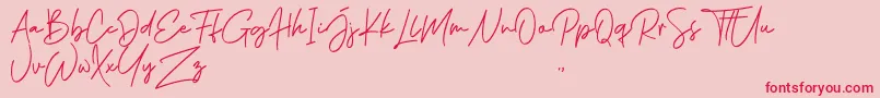 Phillips Muler Signature-Schriftart – Rote Schriften auf rosa Hintergrund