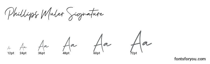 Größen der Schriftart Phillips Muler Signature