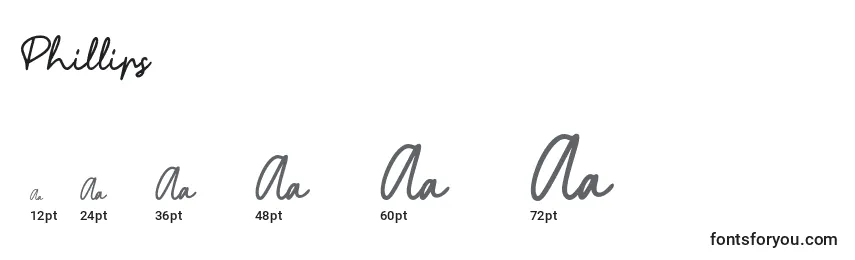 Phillips Font Sizes