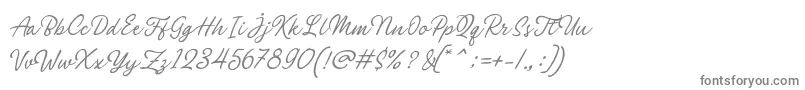 Philomena Script Font – Gray Fonts on White Background