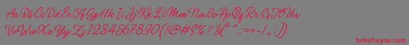 Philomena Script Font – Red Fonts on Gray Background