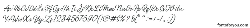 Philomena Script Font – Fonts for Adobe Muse