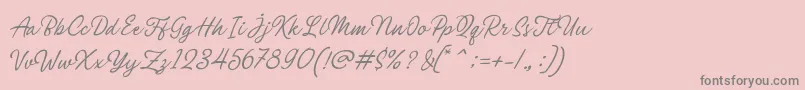 Philomena Script Font – Gray Fonts on Pink Background