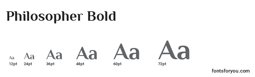 Размеры шрифта Philosopher Bold