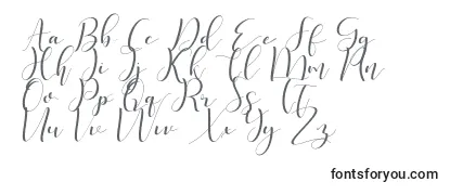 Phoenix Font