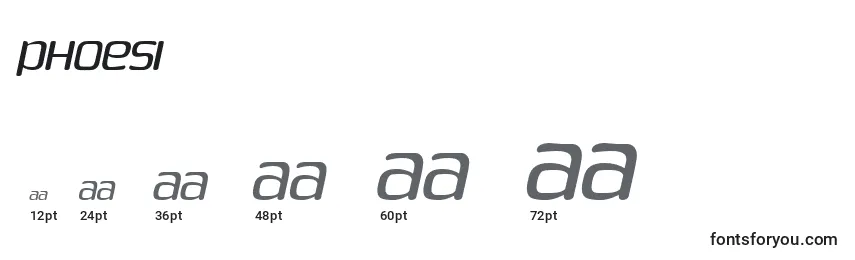PHOESI   (136806) Font Sizes