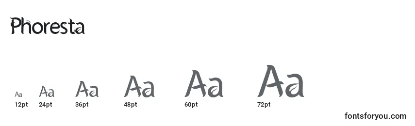 Размеры шрифта Phoresta