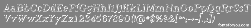 Phosh    Font – White Fonts on Gray Background