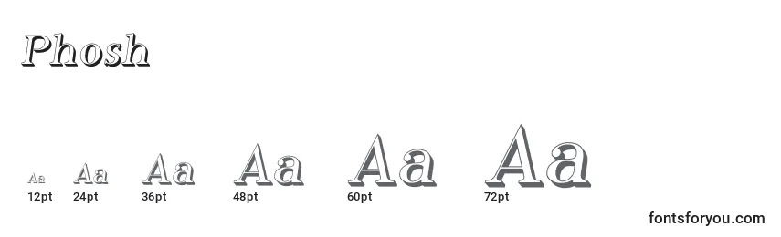 Размеры шрифта Phosh    (136813)