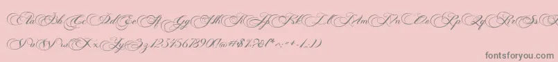 Подробнее о шрифте Photograph Script Free Personal Шрифт Photograph Script Free Personal – серые шрифты на розовом фоне