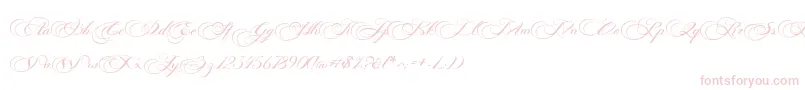 Подробнее о шрифте Photograph Script Free Personal Шрифт Photograph Script Free Personal – розовые шрифты на белом фоне