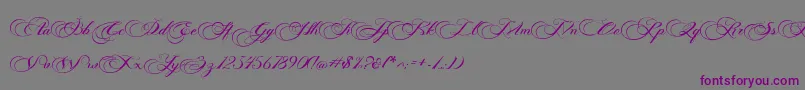 Photograph Script Free Personal  Font – Purple Fonts on Gray Background